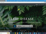 Plant Leaf Disease Recognisation Leaf Disease Detection And